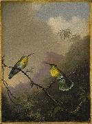 Martin Johnson Heade Copper-tailed Amazili china oil painting artist